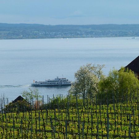 Abc Ferienwohnungen Abc Wohnung A Meersburg Eksteriør billede